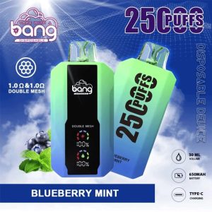 Bang 25000 25k Puffs Disposable Vape 0% 2% 3% 5% Nicotine 12Tastes LED Display Rechargeable Factory Direct